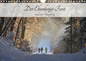 Der Ebersberger Forst und seine Umgebung (Wandkalender 2020 DIN A4 quer) von Bildarchiv,  Geotop