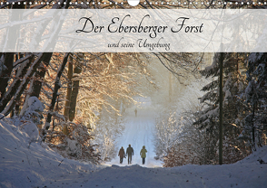 Der Ebersberger Forst und seine Umgebung (Wandkalender 2021 DIN A3 quer) von Bildarchiv,  Geotop
