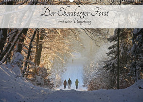 Der Ebersberger Forst und seine Umgebung (Wandkalender 2023 DIN A2 quer) von Bildarchiv,  Geotop