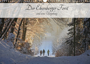 Der Ebersberger Forst und seine Umgebung (Wandkalender 2023 DIN A3 quer) von Bildarchiv,  Geotop