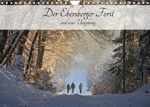 Der Ebersberger Forst und seine Umgebung (Wandkalender 2023 DIN A4 quer) von Bildarchiv,  Geotop
