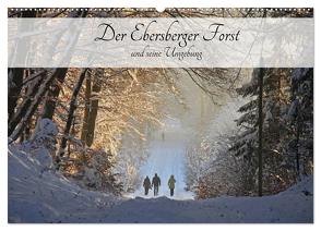 Der Ebersberger Forst und seine Umgebung (Wandkalender 2024 DIN A2 quer), CALVENDO Monatskalender von Bildarchiv,  Geotop