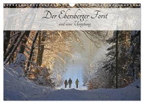 Der Ebersberger Forst und seine Umgebung (Wandkalender 2024 DIN A3 quer), CALVENDO Monatskalender von Bildarchiv,  Geotop