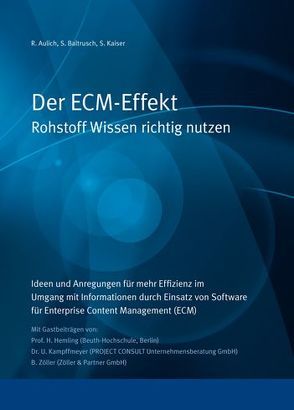 Der ECM-Effekt von Aulich,  R., Baltrusch,  S., Kaiser,  S.