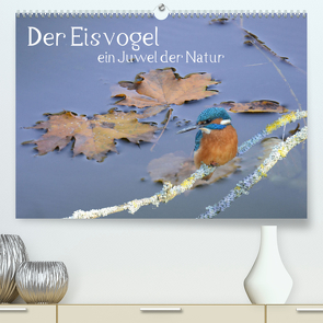 Der Eisvogel ein Juwel der Natur (Premium, hochwertiger DIN A2 Wandkalender 2023, Kunstdruck in Hochglanz) von Rufotos