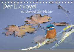 Der Eisvogel, ein Juwel der Natur (Tischkalender 2024 DIN A5 quer) von Rufotos