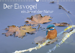 Der Eisvogel, ein Juwel der Natur (Wandkalender 2024 DIN A3 quer), CALVENDO Monatskalender von Rufotos,  Rufotos
