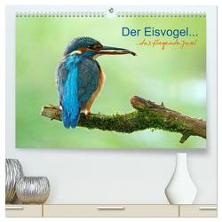 Der Eisvogel…fliegendes Juwel (hochwertiger Premium Wandkalender 2024 DIN A2 quer), Kunstdruck in Hochglanz von Fuchs,  Mirko