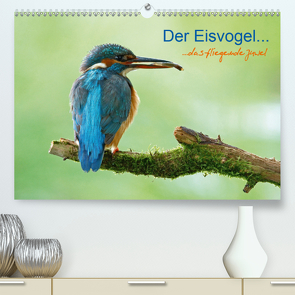 Der Eisvogel…fliegendes Juwel (Premium, hochwertiger DIN A2 Wandkalender 2021, Kunstdruck in Hochglanz) von Fuchs,  Mirko
