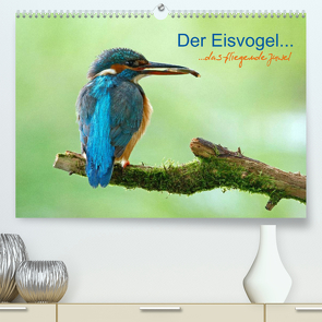 Der Eisvogel…fliegendes Juwel (Premium, hochwertiger DIN A2 Wandkalender 2022, Kunstdruck in Hochglanz) von Fuchs,  Mirko