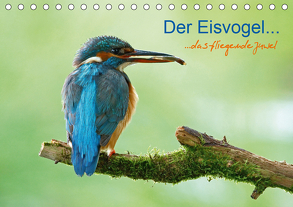 Der Eisvogel…fliegendes Juwel (Tischkalender 2020 DIN A5 quer) von Fuchs,  Mirko