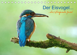 Der Eisvogel…fliegendes Juwel (Tischkalender 2023 DIN A5 quer) von Fuchs,  Mirko