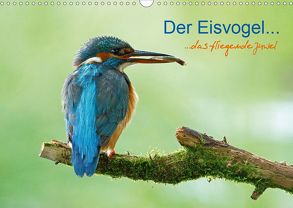 Der Eisvogel…fliegendes Juwel (Wandkalender 2020 DIN A3 quer) von Fuchs,  Mirko