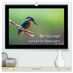 Der Eisvogel zurück im Spessart (hochwertiger Premium Wandkalender 2024 DIN A2 quer), Kunstdruck in Hochglanz von Reibert,  Björn