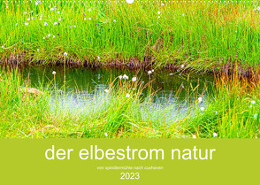 der elbestrom natur (Wandkalender 2023 DIN A2 quer) von Sennewald,  Steffen