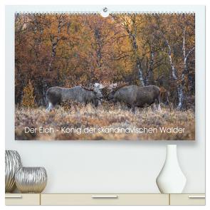 Der Elch – König der skandinavischen Wälder (hochwertiger Premium Wandkalender 2024 DIN A2 quer), Kunstdruck in Hochglanz von Oberholzer,  David