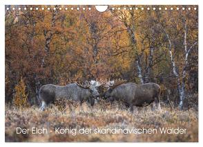 Der Elch – König der skandinavischen Wälder (Wandkalender 2024 DIN A4 quer), CALVENDO Monatskalender von Oberholzer,  David