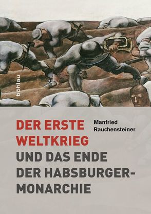 Der Erste Weltkrieg von Rauchensteiner,  Manfried