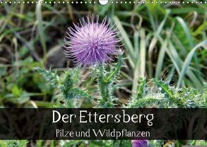 Der Ettersberg – Pilze und Wildpflanzen (Wandkalender 2018 DIN A3 quer) von Schachtschabel,  Jan