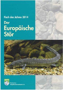 Der Europäische Stör von Autorengruppe,  Autorengruppe