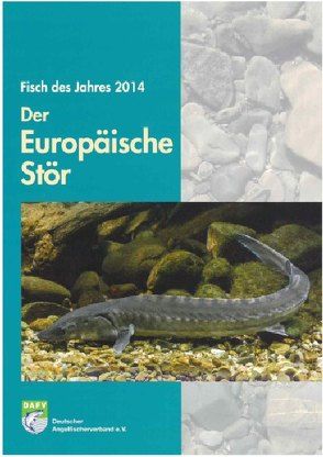 Der Europäische Stör von Autorengruppe,  Autorengruppe