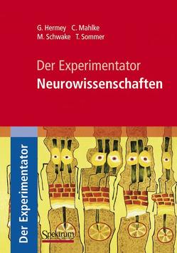Der Experimentator: Neurowissenschaften von Hermey,  Guido, Mahlke,  Claudia, Schwake,  Michael, Sommer,  Tobias