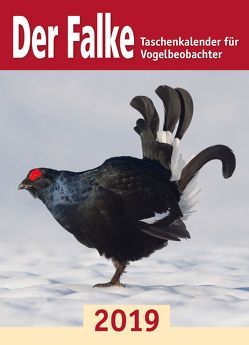 Der Falke-Taschenkalender für Vogelbeobachter 2019 von Redaktion Der Falke