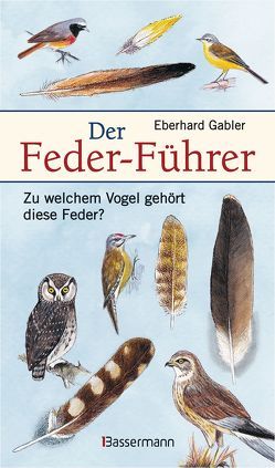 Der Feder-Führer von Gabler,  Eberhard