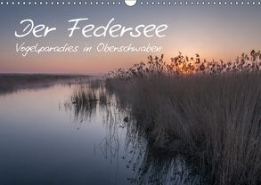 Der Federsee – Vogelparadies in Oberschwaben (Wandkalender 2018 DIN A3 quer) von Kerner,  Klaus