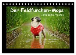 Der Feldfurchen-Mops (Tischkalender 2024 DIN A5 quer), CALVENDO Monatskalender von Köntopp,  Kathrin