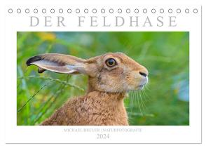Der Feldhase (Tischkalender 2024 DIN A5 quer), CALVENDO Monatskalender von Breuer,  Michael