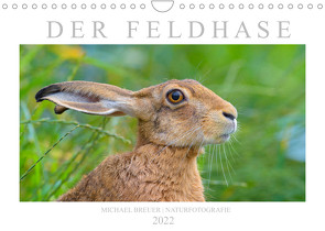 Der Feldhase (Wandkalender 2022 DIN A4 quer) von Breuer,  Michael