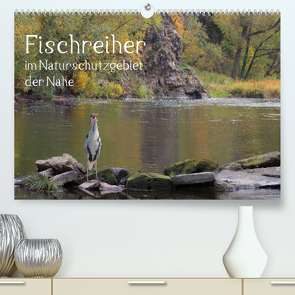 Der Fischreiher im Naturschutzgebiet der Nahe (Premium, hochwertiger DIN A2 Wandkalender 2022, Kunstdruck in Hochglanz) von Sauer / raimondo / www.raimondophoto.net,  Raimund