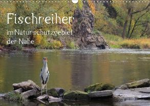 Der Fischreiher im Naturschutzgebiet der Nahe (Wandkalender 2018 DIN A3 quer) von Sauer / raimondo / www.raimondophoto.net,  Raimund