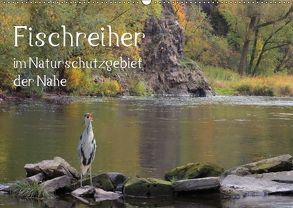 Der Fischreiher im Naturschutzgebiet der Nahe (Wandkalender 2019 DIN A2 quer) von Sauer / raimondo / www.raimondophoto.net,  Raimund