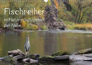 Der Fischreiher im Naturschutzgebiet der Nahe (Wandkalender 2019 DIN A3 quer) von Sauer / raimondo / www.raimondophoto.net,  Raimund
