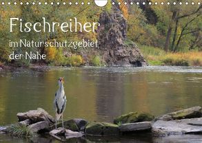 Der Fischreiher im Naturschutzgebiet der Nahe (Wandkalender 2019 DIN A4 quer) von Sauer / raimondo / www.raimondophoto.net,  Raimund