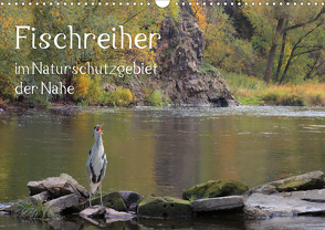 Der Fischreiher im Naturschutzgebiet der Nahe (Wandkalender 2021 DIN A3 quer) von Sauer / raimondo / www.raimondophoto.net,  Raimund
