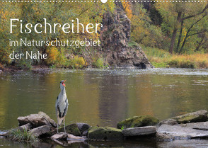 Der Fischreiher im Naturschutzgebiet der Nahe (Wandkalender 2023 DIN A2 quer) von Sauer / raimondo / www.raimondophoto.net,  Raimund
