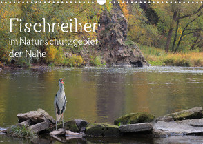 Der Fischreiher im Naturschutzgebiet der Nahe (Wandkalender 2023 DIN A3 quer) von Sauer / raimondo / www.raimondophoto.net,  Raimund
