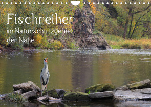 Der Fischreiher im Naturschutzgebiet der Nahe (Wandkalender 2023 DIN A4 quer) von Sauer / raimondo / www.raimondophoto.net,  Raimund