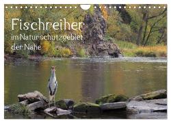 Der Fischreiher im Naturschutzgebiet der Nahe (Wandkalender 2024 DIN A4 quer), CALVENDO Monatskalender von Sauer / raimondo / www.raimondophoto.net,  Raimund