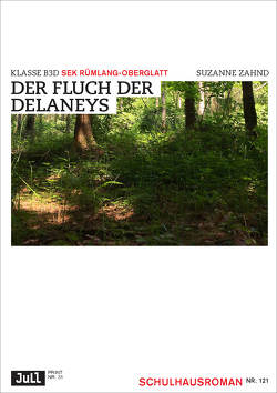 Der Fluch der Delaneys von Zahnd,  Suzanne