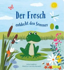 Der Frosch entdeckt den Sommer von Barnard,  Lucy, Hofmann,  Julia, Loughrey,  Anita