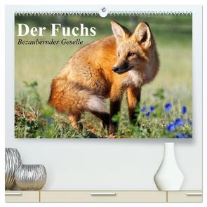 Der Fuchs. Bezaubernder Geselle (hochwertiger Premium Wandkalender 2024 DIN A2 quer), Kunstdruck in Hochglanz von Stanzer,  Elisabeth