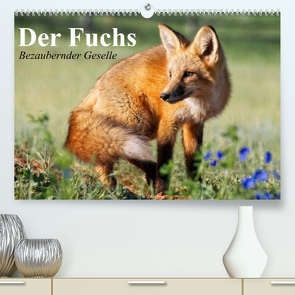 Der Fuchs. Bezaubernder Geselle (Premium, hochwertiger DIN A2 Wandkalender 2023, Kunstdruck in Hochglanz) von Stanzer,  Elisabeth