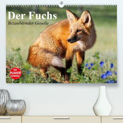Der Fuchs. Bezaubernder Geselle (Premium, hochwertiger DIN A2 Wandkalender 2023, Kunstdruck in Hochglanz) von Stanzer,  Elisabeth