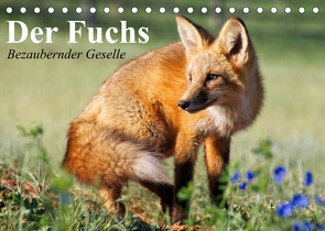 Der Fuchs. Bezaubernder Geselle (Tischkalender 2023 DIN A5 quer) von Stanzer,  Elisabeth