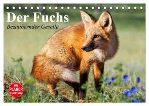 Der Fuchs. Bezaubernder Geselle (Tischkalender 2024 DIN A5 quer), CALVENDO Monatskalender von Stanzer,  Elisabeth