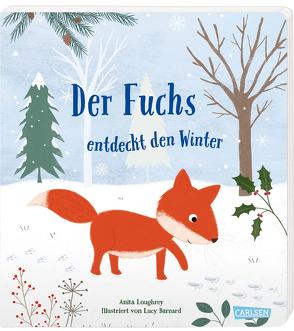 Der Fuchs entdeckt den Winter von Barnard,  Lucy, Klose,  Petra, Loughrey,  Anita
